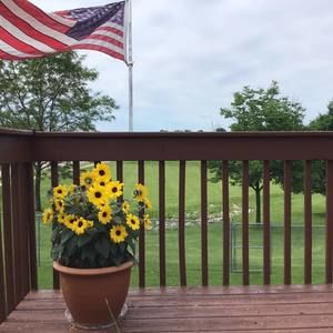 Meet your Posher, Barbara